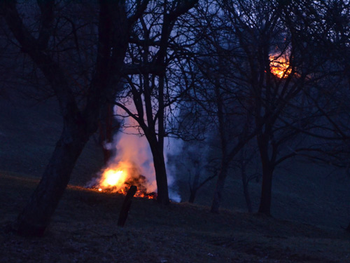 Foto Focuri (c) Lucian Petru Goja